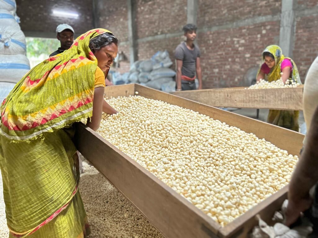 Grading of Makhana