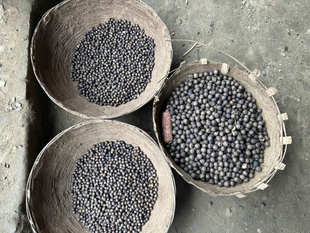 Makhana Seeds