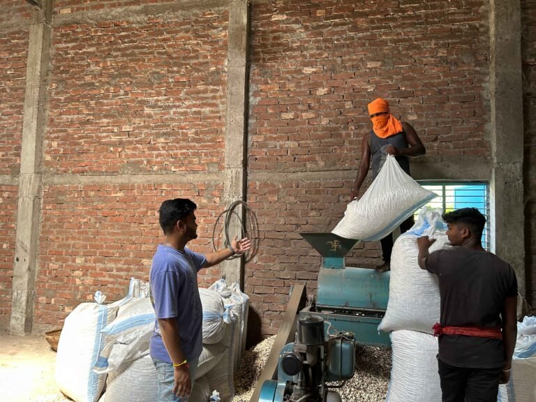 Makhana Exports